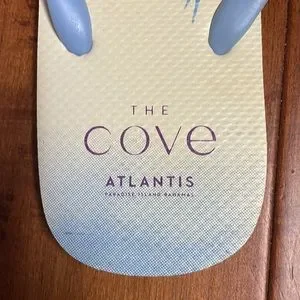 Cove | Shoes | New The Cove Atlantis Paradise Island Bahamas  display picture 1